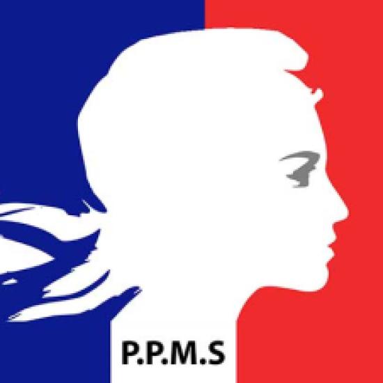 Tout ce que vous devez savoir sur le PPMS