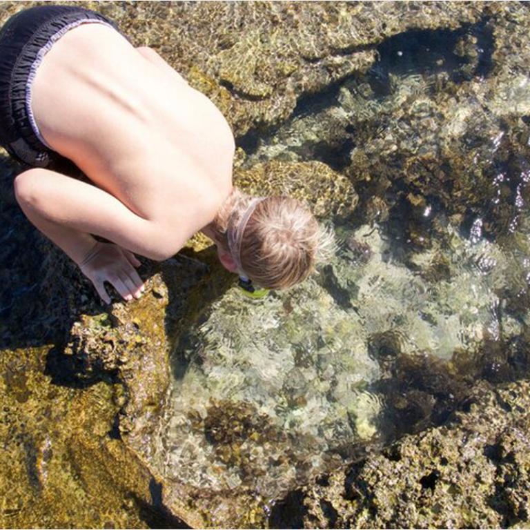 Comment soigner une piqûre de méduse ?