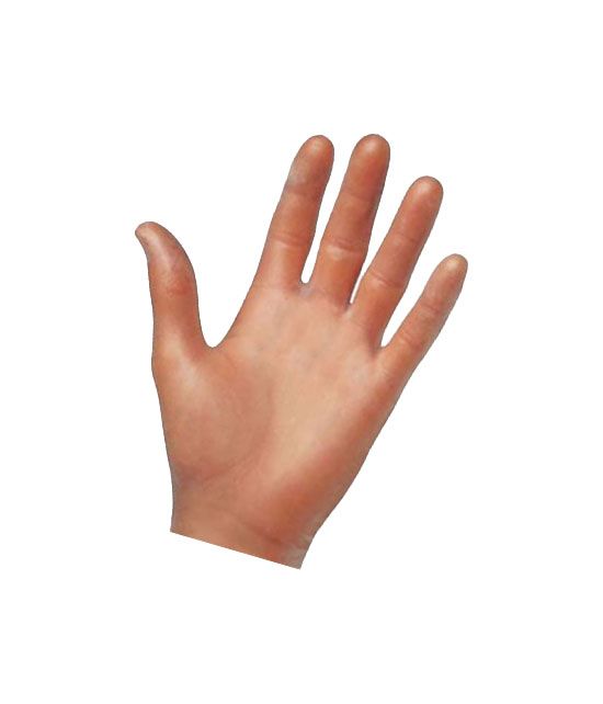 100 gants en vinyle non poudrés 