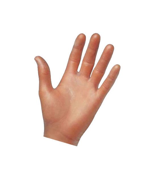 Gants poudrés taille XL