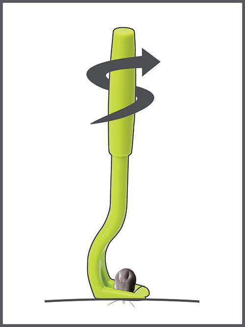 comment retirer une tique