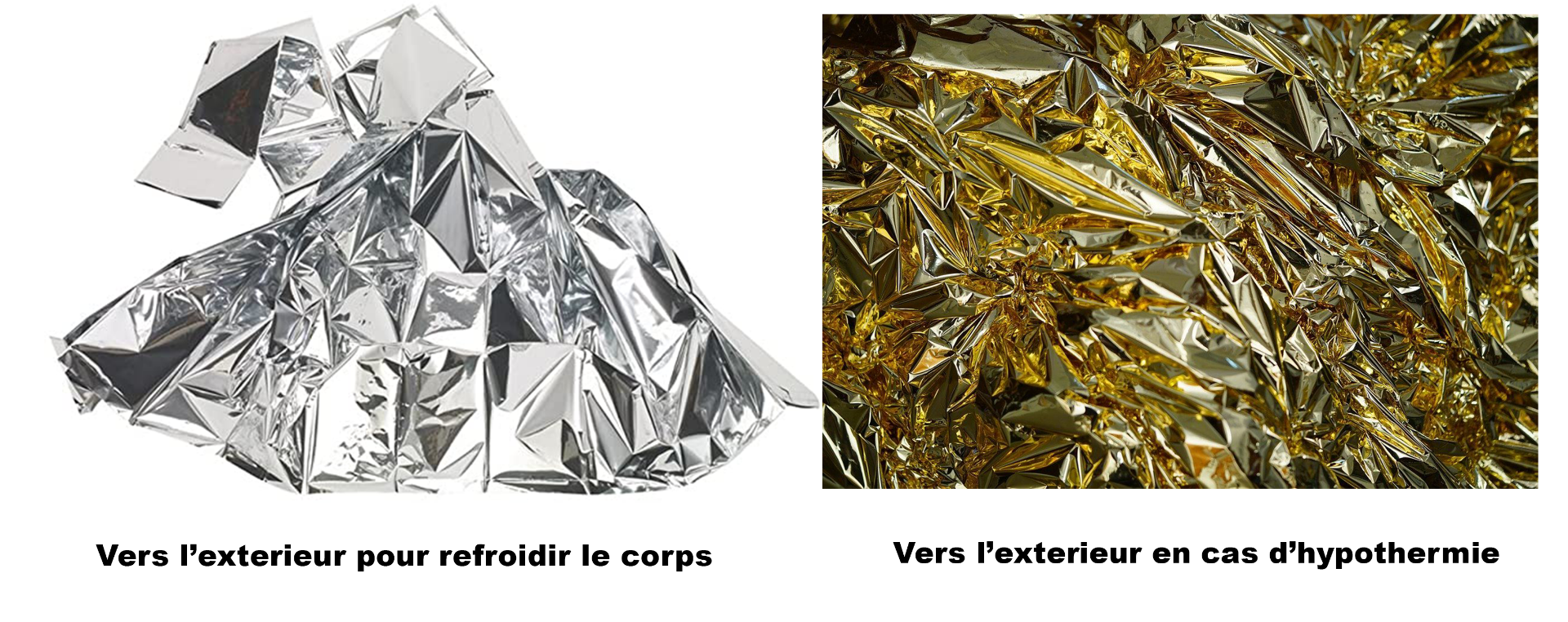 Face dorée et argentée